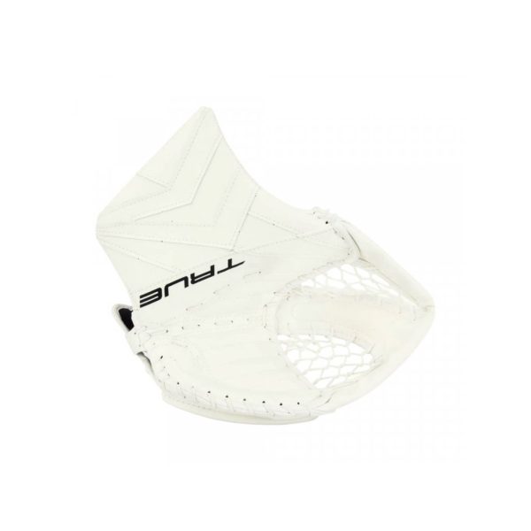 | Sportsness.ch