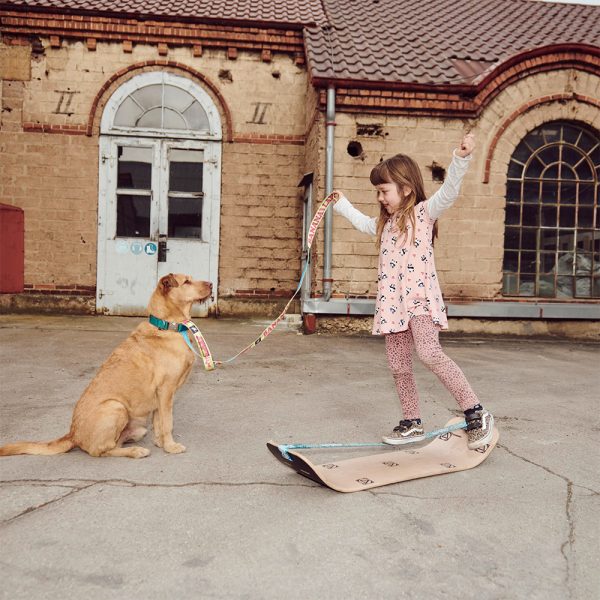 GIBBON GIBOARD-SET ROOTS ROCKER TRAVEL – Bild 12