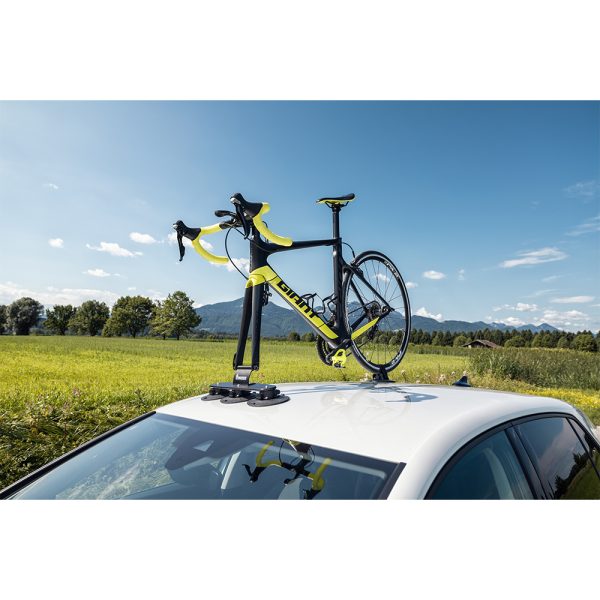 TREEFROG FAHRRAD DACHTRÄGER ELITE 1 – Bild 9