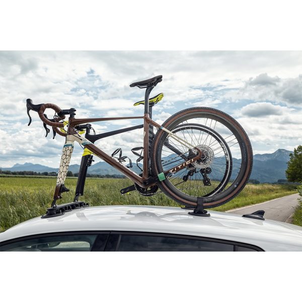 TREEFROG FAHRRAD DACHTRÄGER ELITE 2 – Bild 5