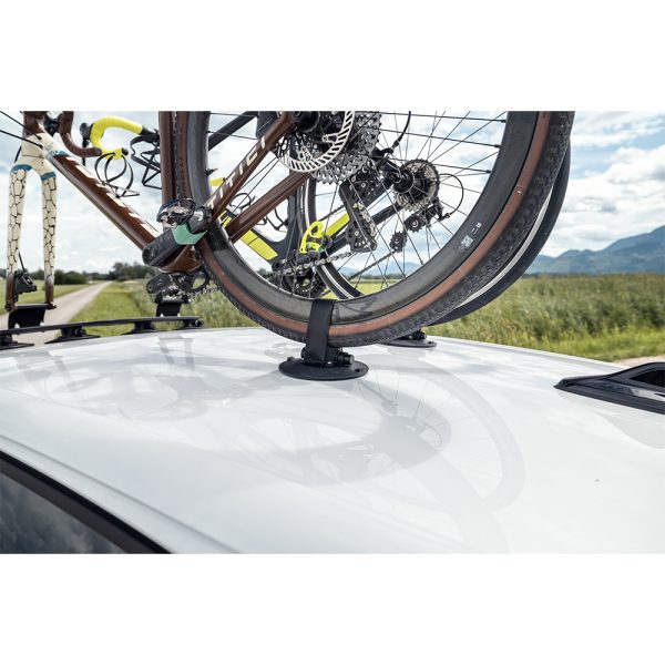 TREEFROG FAHRRAD DACHTRÄGER ELITE 2 – Bild 7