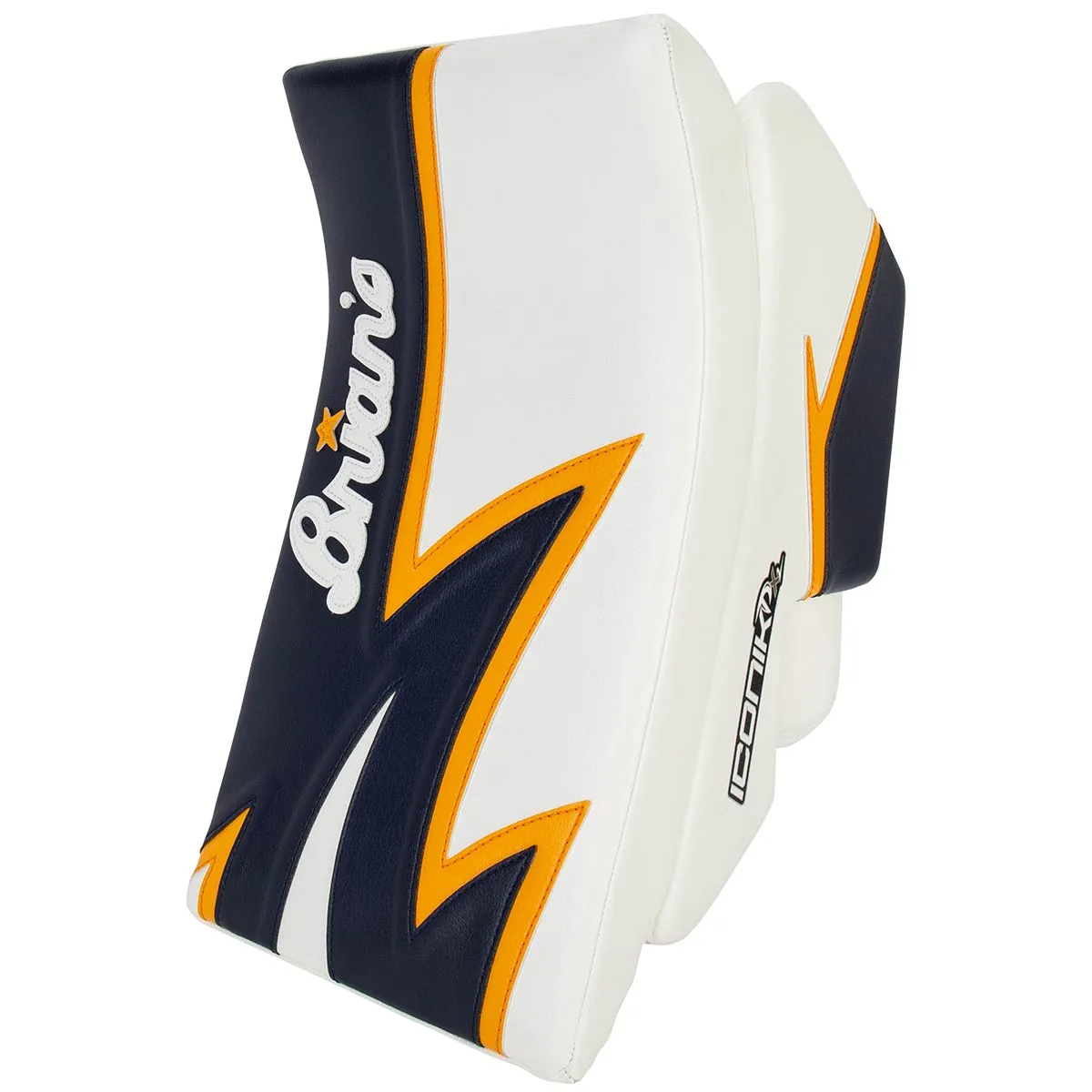 BRIANS ICONIC DX2 GB SR | Sportsness.ch