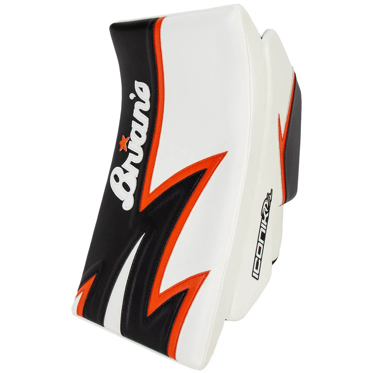 BRIANS ICONIC DX2 GB INT | Sportsness.ch
